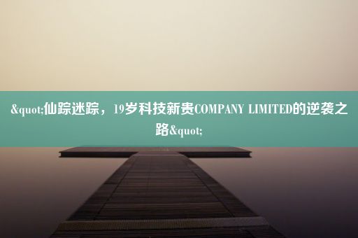 "仙踪迷踪，19岁科技新贵COMPANY LIMITED的逆袭之路"