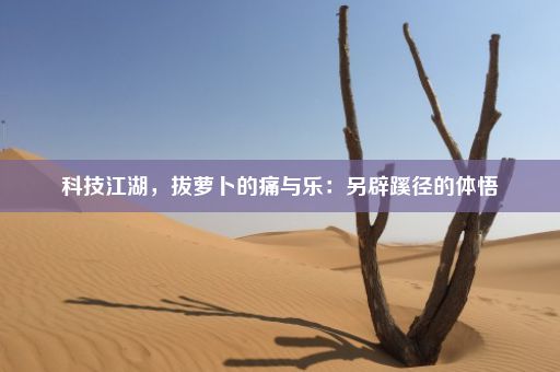 科技江湖，拔萝卜的痛与乐：另辟蹊径的体悟