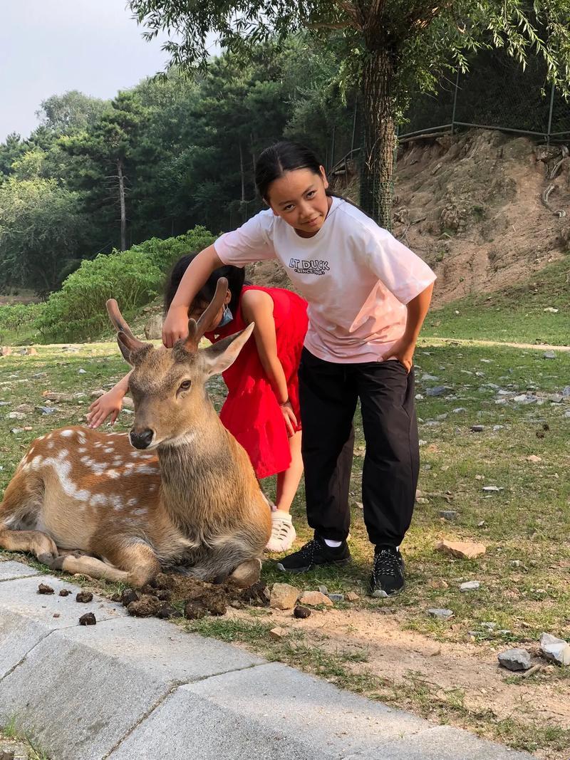 “兽性与人性，揭秘！热议背后的创新突破”