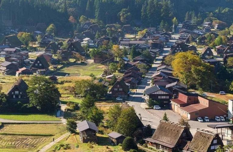 "乡野调情，日本风味：换伴游戏玩转科技边界"