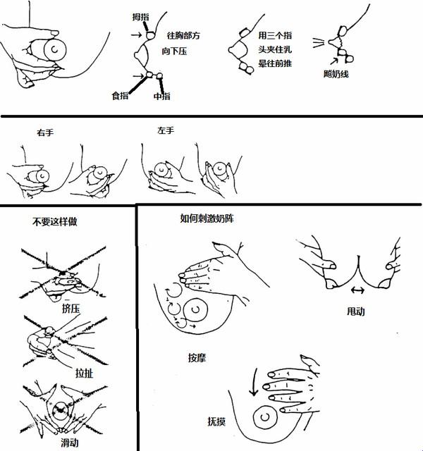 “挤牛奶拔萝卜”探秘：科技潮流里的滑稽自嘲