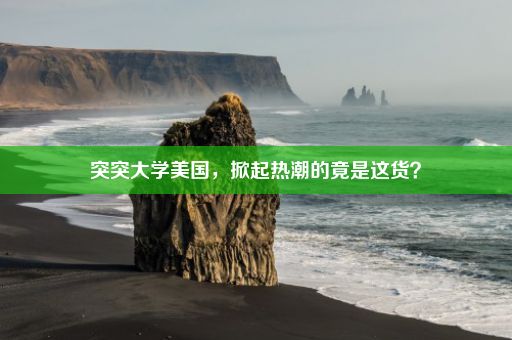 突突大学美国，掀起热潮的竟是这货？