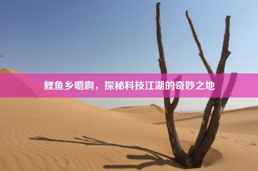 鲤鱼乡嗯啊，探秘科技江湖的奇妙之地