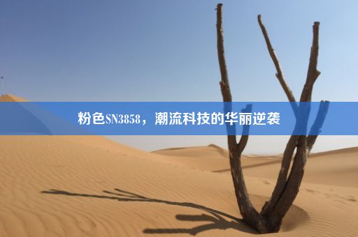 粉色SN3858，潮流科技的华丽逆袭