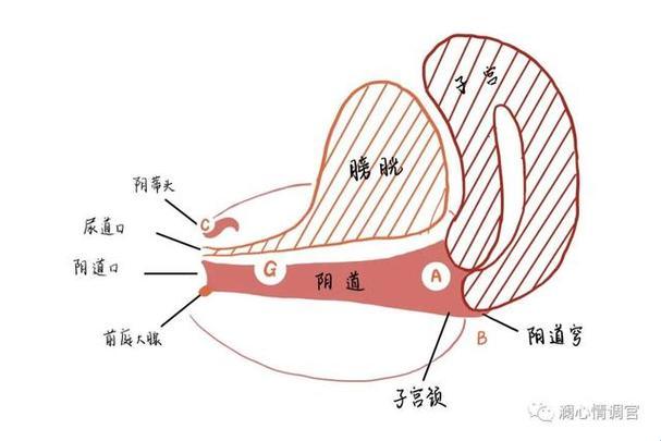 A点迷踪：网民热议的科技谜图揭秘