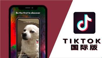 破解版 TikTok？笑谈网上冲浪新招式