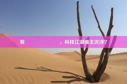 我麼麼麼麼麼麼麼，科技江湖谁主沉浮？