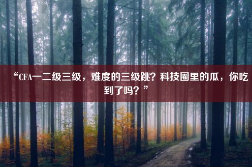 “CFA一二级三级，难度的三级跳？科技圈里的瓜，你吃到了吗？”