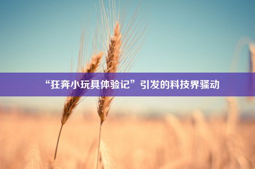 “狂奔小玩具体验记”引发的科技界骚动