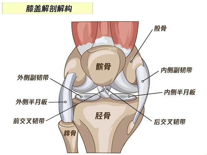 独辟蹊径，悬空甩腿竟成科技新宠？