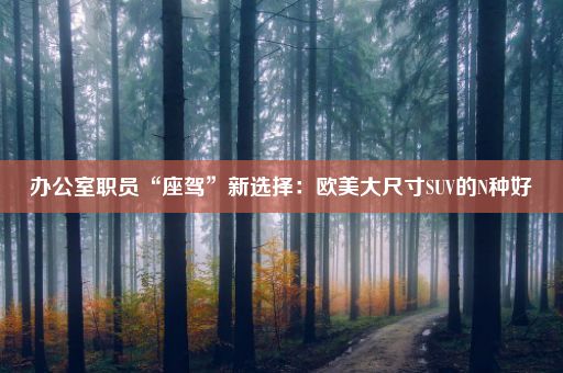 办公室职员“座驾”新选择：欧美大尺寸SUV的N种好