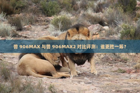 兽 906MAX 与兽 906MAX2 对比评测：谁更胜一筹？