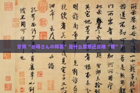 您猜“お母さんの障害”是什么意思还是啥“梗”？