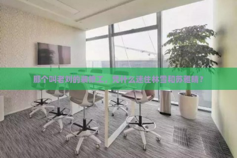 那个叫老刘的装修工，凭什么迷住林雪和苏雅晴？