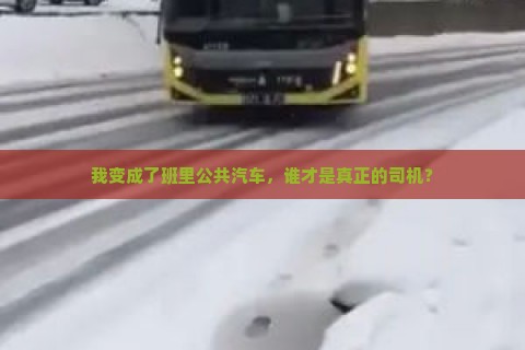 我变成了班里公共汽车，谁才是真正的司机？