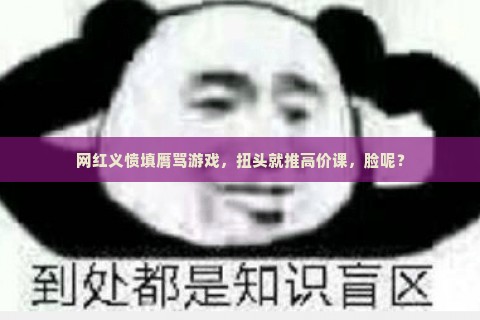 网红义愤填膺骂游戏，扭头就推高价课，脸呢？