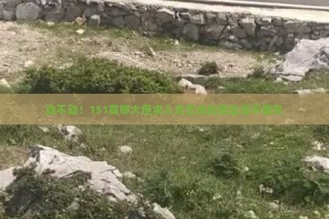 动不动！151真够大但求人文艺术的新生活不翻车